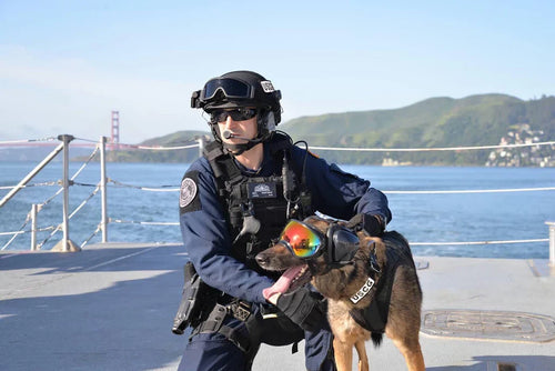 Trekrov™ Dog Goggles Anti-UV Sun Glasses Eyewear Protection