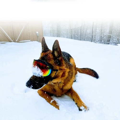 Trekrov™ Dog Goggles Anti-UV Sun Glasses Eyewear Protection