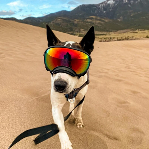 Trekrov™ Dog Goggles Anti-UV Sun Glasses Eyewear Protection