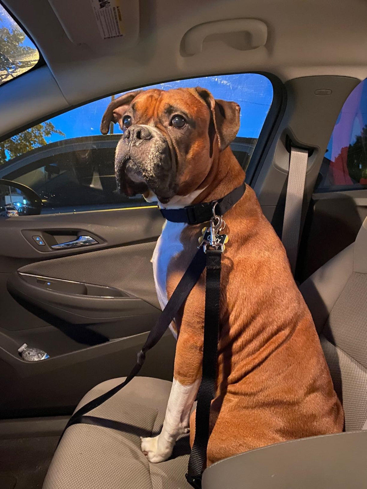 TREKROV™ Car Safety Belt For Dogs