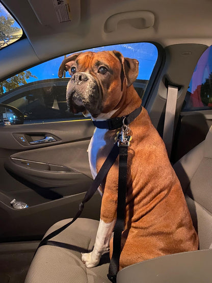TREKROV™ Car Safety Belt For Dogs
