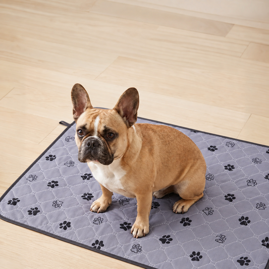 NovaPaw Pup Pad (1 Pack)