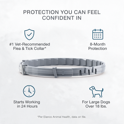 Paddy™ 8-Month Flea & Tick Collar 70cm for Large Dogs (18+ lbs)