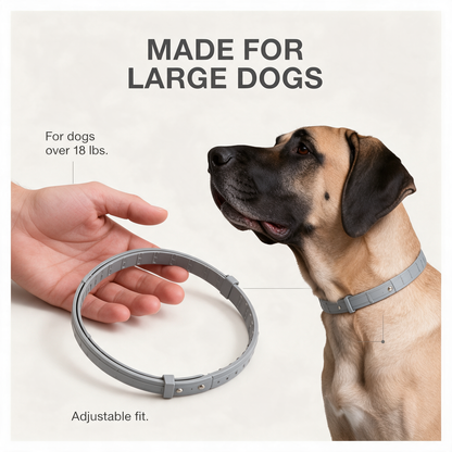 Paddy™ 8-Month Flea & Tick Collar 70cm for Large Dogs (18+ lbs)